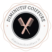 DIMINUTIF COIFFURE logo