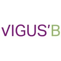 VIGUS'B DEVELOPPEMENT logo
