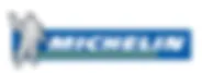 DATA SUITS (DS) logo