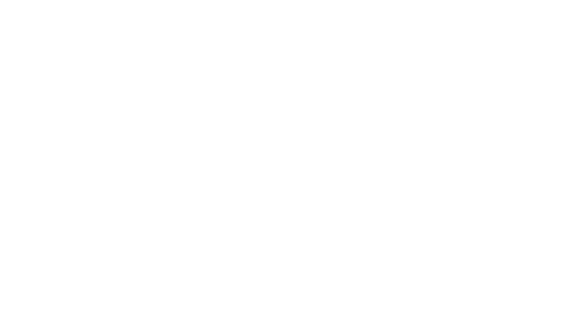 LAVAL KINE SPORT logo