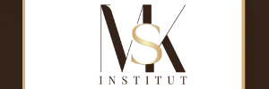 MSK INSTITUT logo