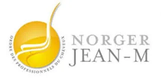 NORG'HAIR (Coiffeur Norger Jean M) logo