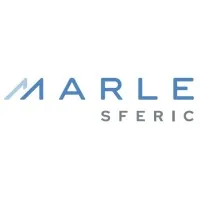 SFERIC (SFERIC STELLITE) logo