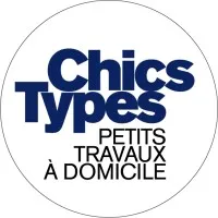 CHICS TYPES logo