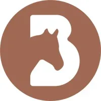 BASANNE EQUITATION logo