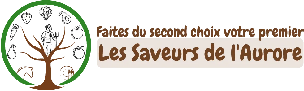LES SAVEURS DE L'AURORE logo