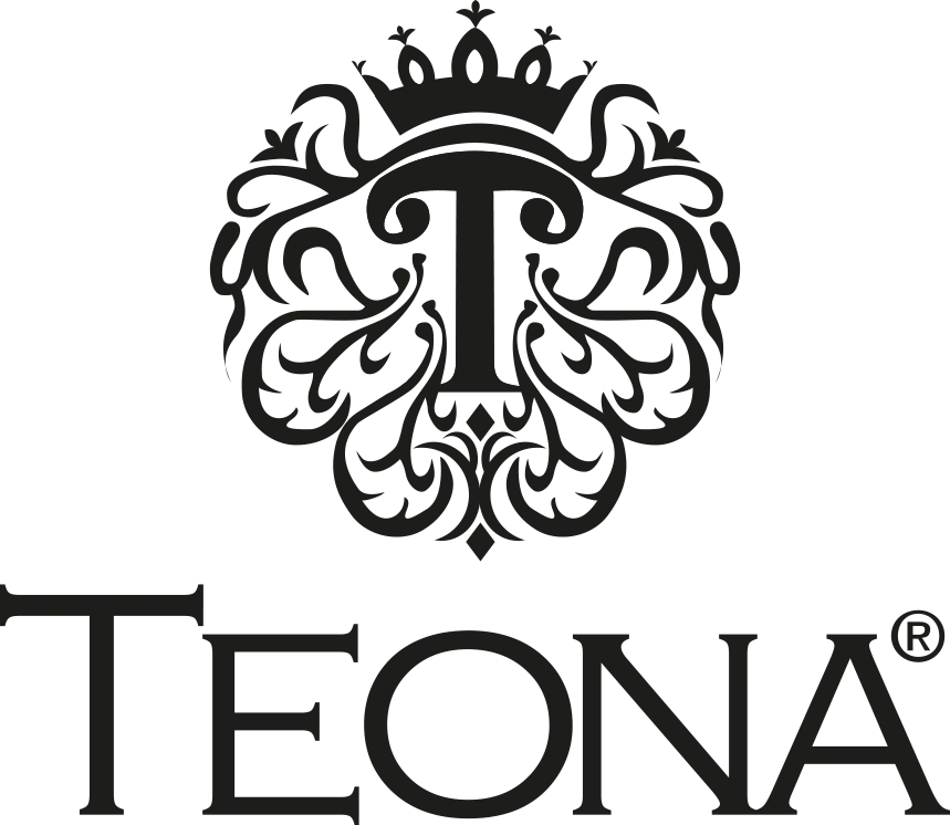 TEONA FRANCE logo