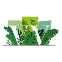 VEGETALES VISIONS (VV) logo