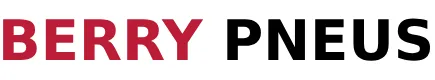 BERRY PNEUS logo