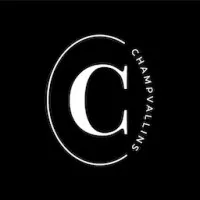CHATEAU DE CHAMPVALLINS logo