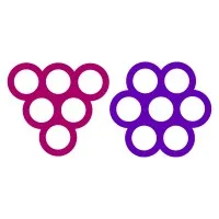 BERRYFIELD logo
