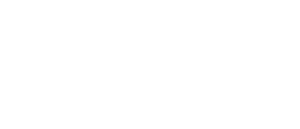 ZELVO logo
