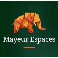 MAYEUR NCO logo