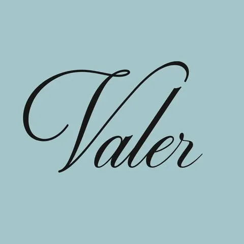 VALER logo