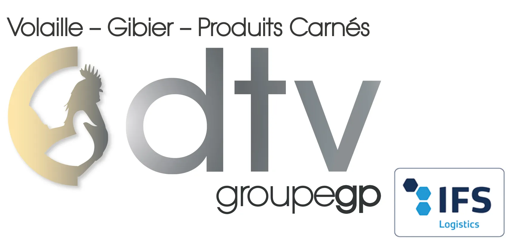 Voici le logo de la marque DTV qui représente son identité graphique.