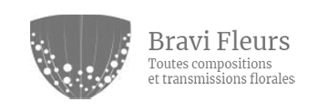 SA LES GRANITS DU SUD EST (MAISON BRAVI) logo