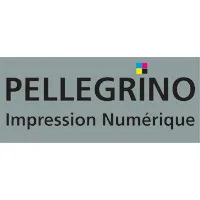 REPRODUCTIONS PELLEGRINO logo