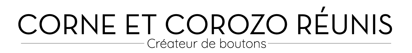BOUTONNERIE LYONNAISE logo
