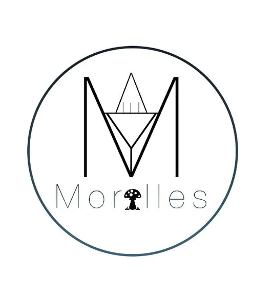 MY MORILLES logo