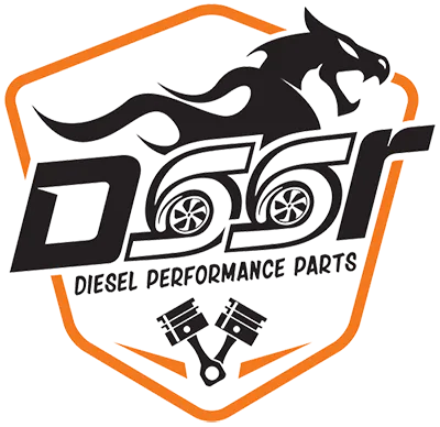 DSSR logo