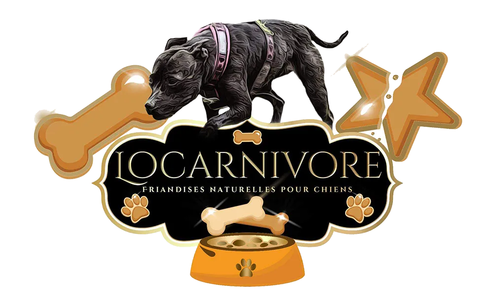 LOCARNIVORE logo