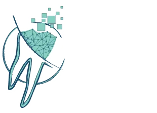 APEX CONCEPT logo