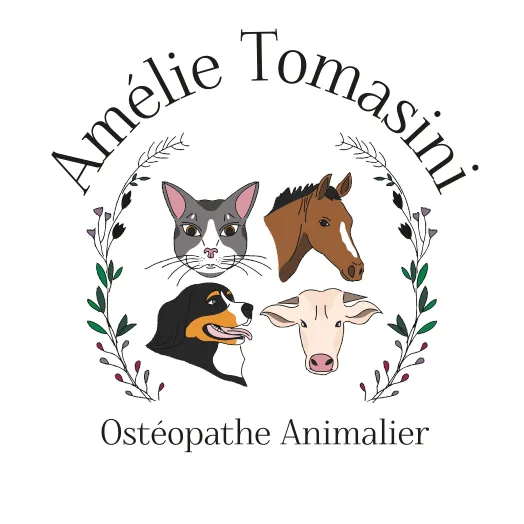 TOMASINI AMELIE logo
