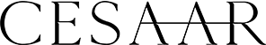 LESTAPIS - POIRIER EXPERTISE logo