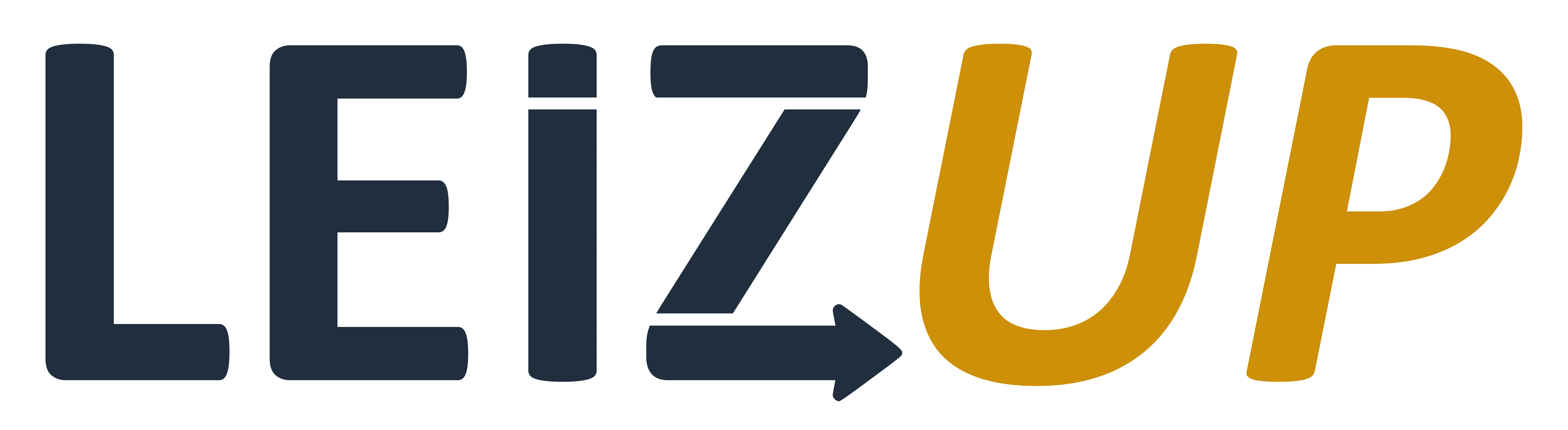 LEIZUP logo