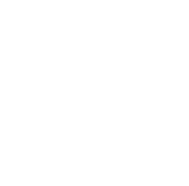 DATAMINDS logo
