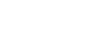 ADRIEN VINET CONSULTING logo