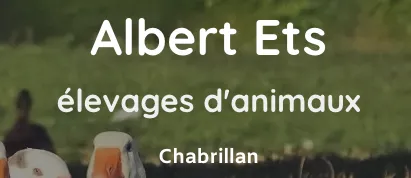 ETABLISSEMENTS E ALBERT logo