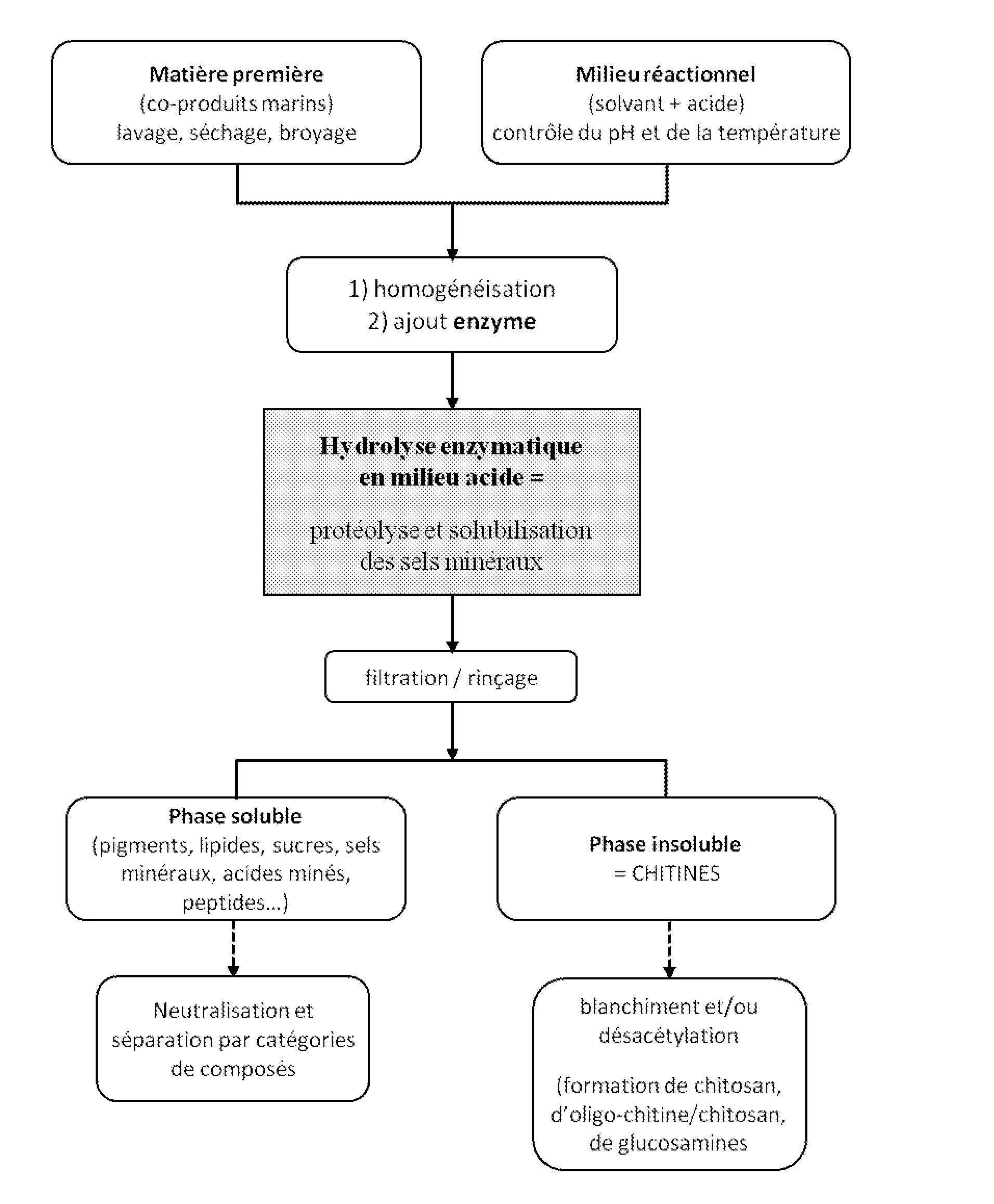 Extraction de chitines en une seule etape par hydrolyse enzymatique en milieu acide