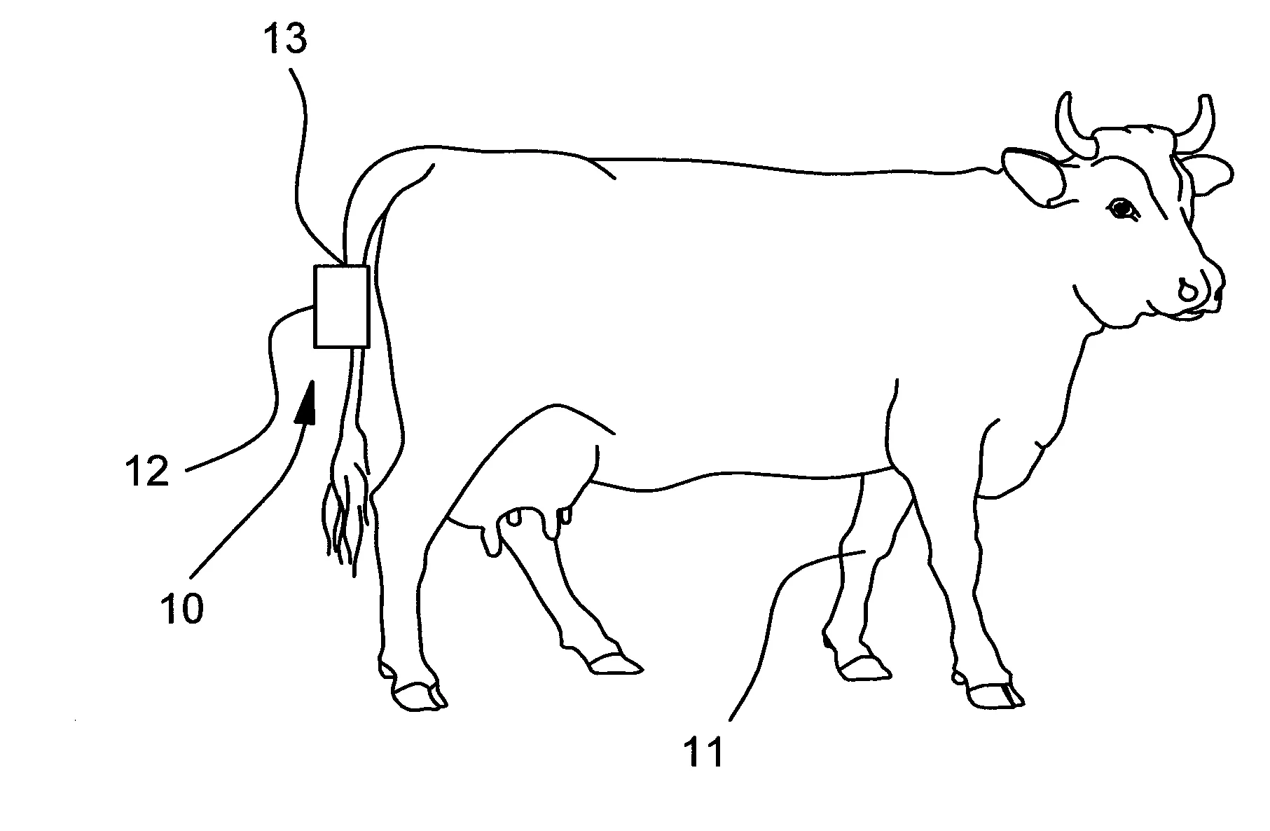 Dispositif de detection et de signalisation de la phase preparatoire de mise-bas d'un bovin ou d'un equide, procede et produit programme d'ordinateur correspondants