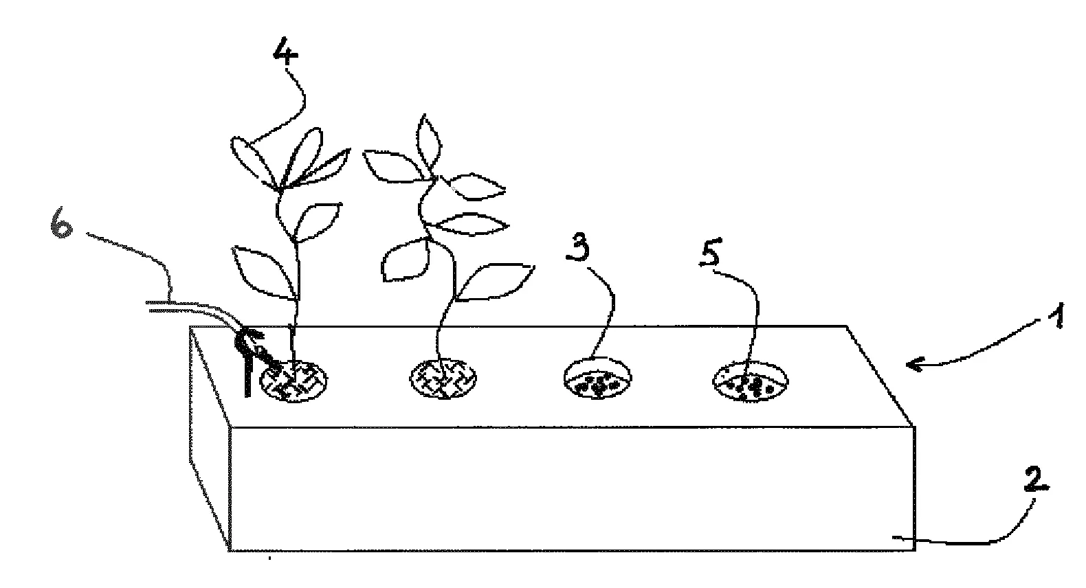 Systeme de culture vegetale sur substrat inocule avec une composition de microorganismes