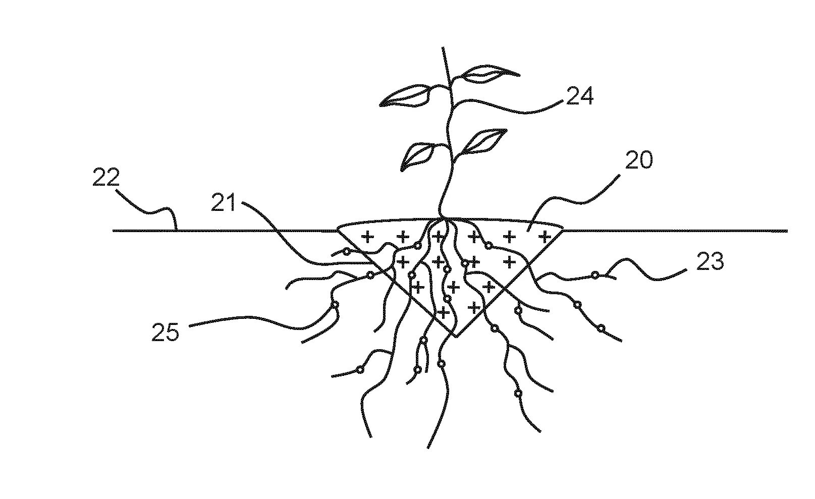 Procede de culture de plantes dans un sol maitrise